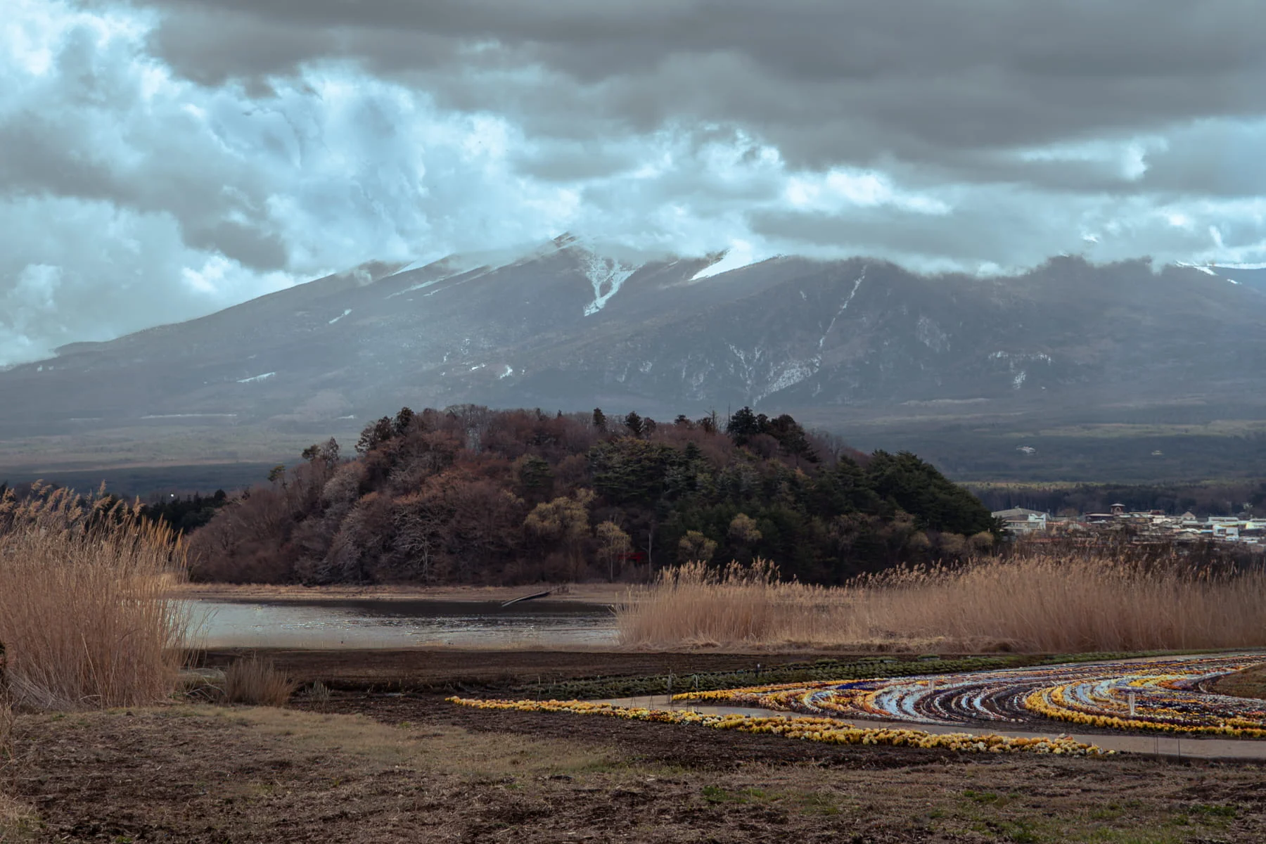 Landscape