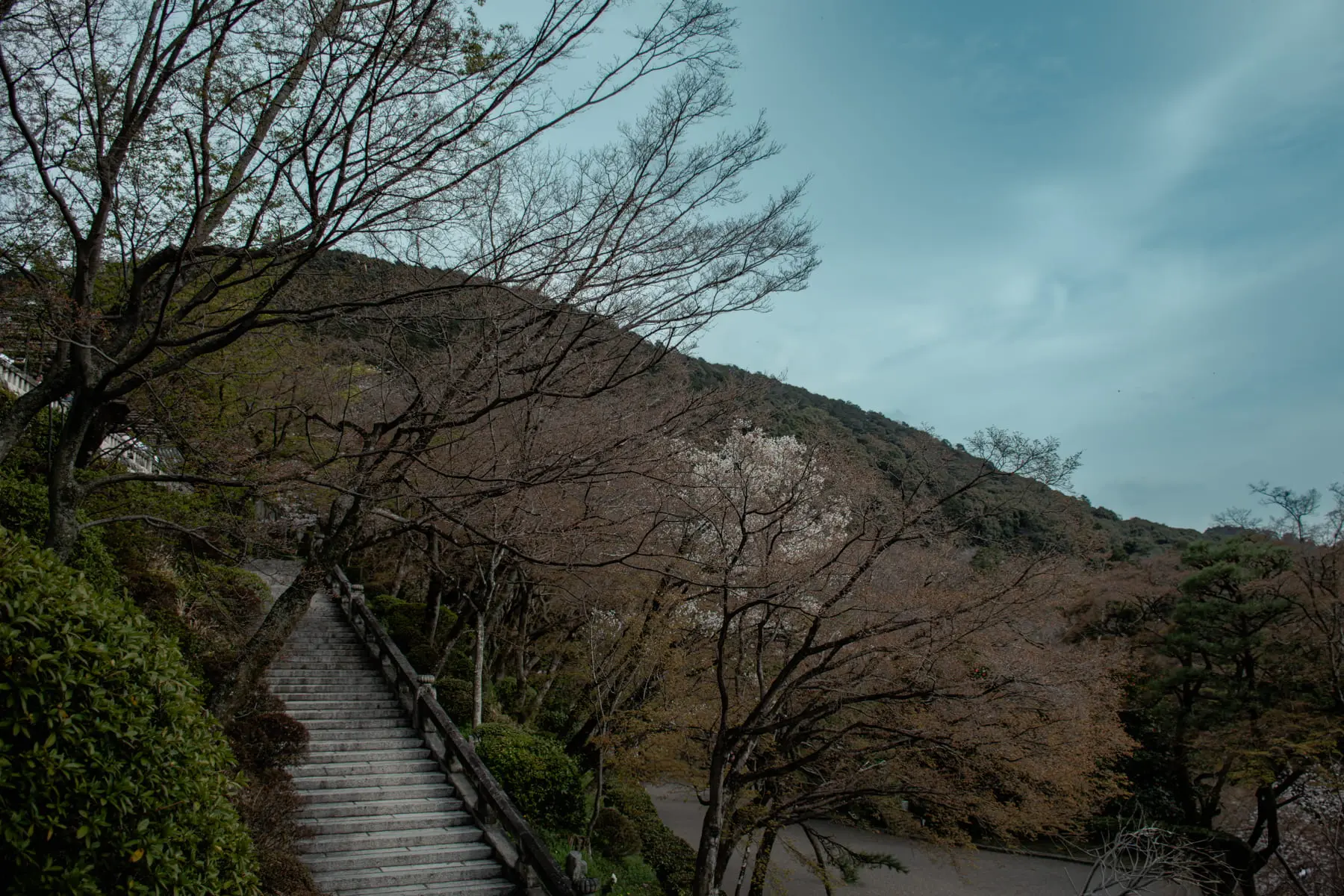 Nature